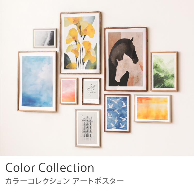 アートポスター Color Collection A5 アート ポスター 北欧 リビング