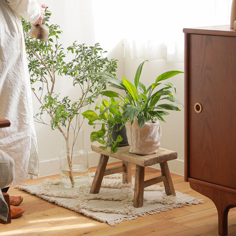 スツール Vintage Elm Wood ラウンド エルムウッド フラワースタンド 鉢置き 植物棚 飾り台 木製 天然木 ニレ材 ナチュラル 円形 |  | 01