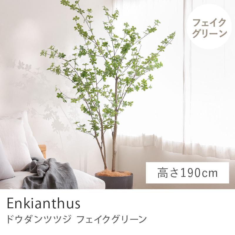 フェイクグリーン ドウダンツツジ 高さ190cm 人工観葉植物 人工植物