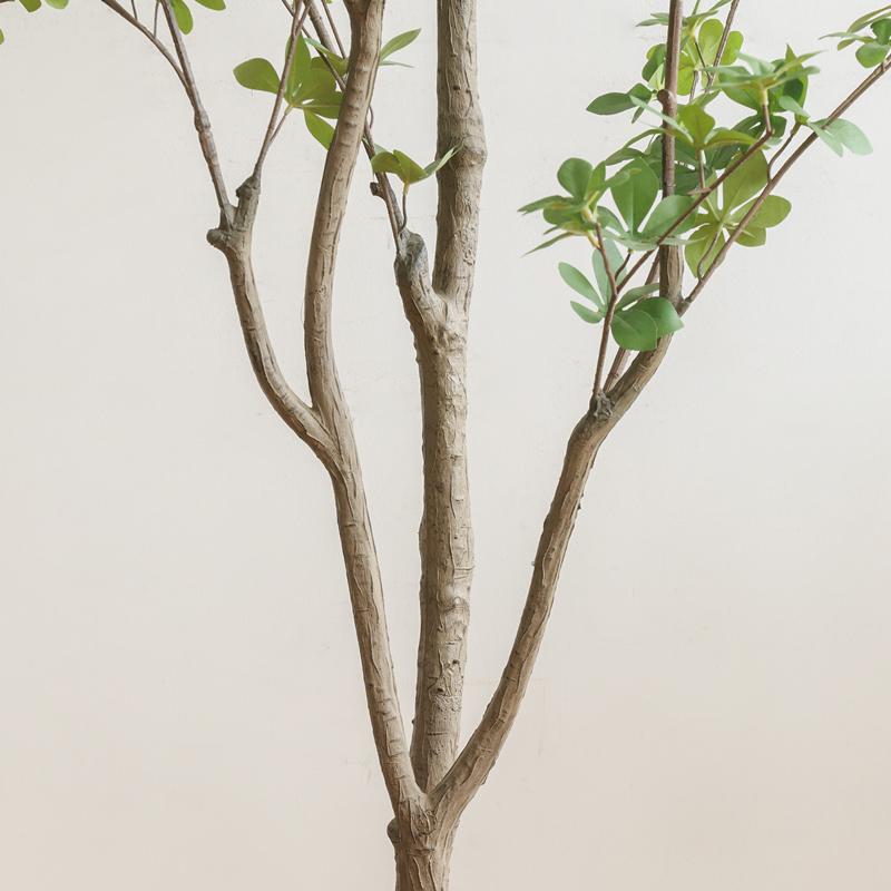 フェイクグリーン ドウダンツツジ 高さ190cm 人工観葉植物 人工植物
