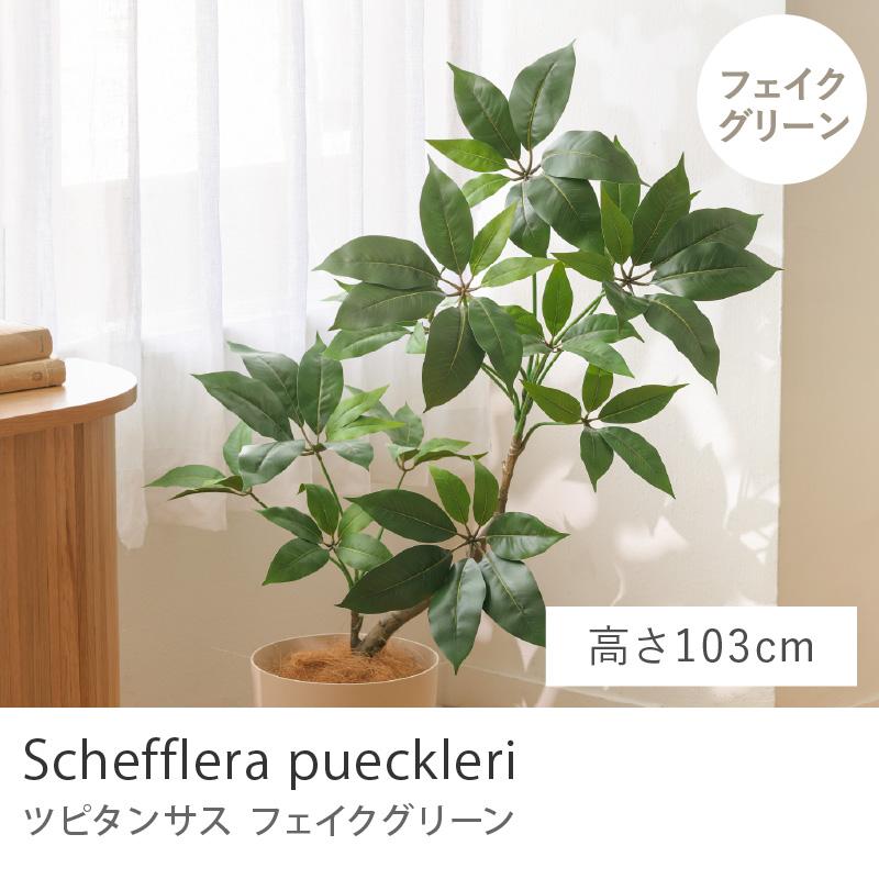 光触媒　造花　観葉植物　ウォールグリーン　フェイクグリーン　ツピタンサス103 フェイクグリーン ツピタンサス 高さ103cm 人工観葉植物 人工植物