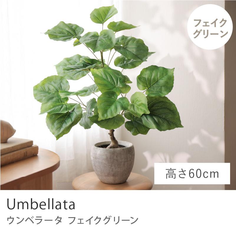 フェイクグリーン ウンベラータ 高さ60cm 人工観葉植物 人工植物