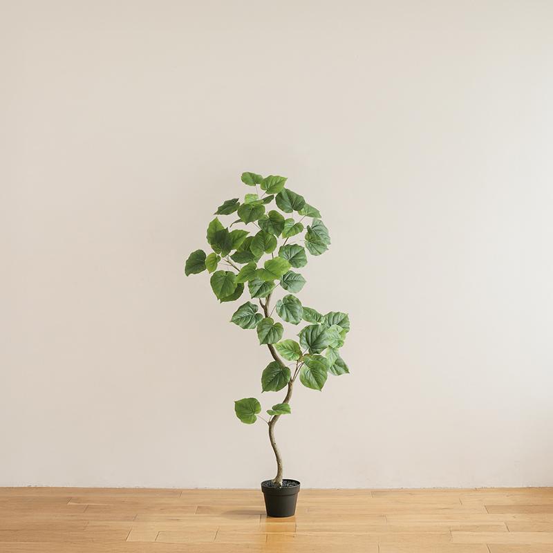 光触媒　人工観葉植物　ウォールグリーン　フェイクグリーン　ウンベラータスパイラル フェイクグリーン ウンベラータ 高さ60cm 人工観葉植物 人工植物