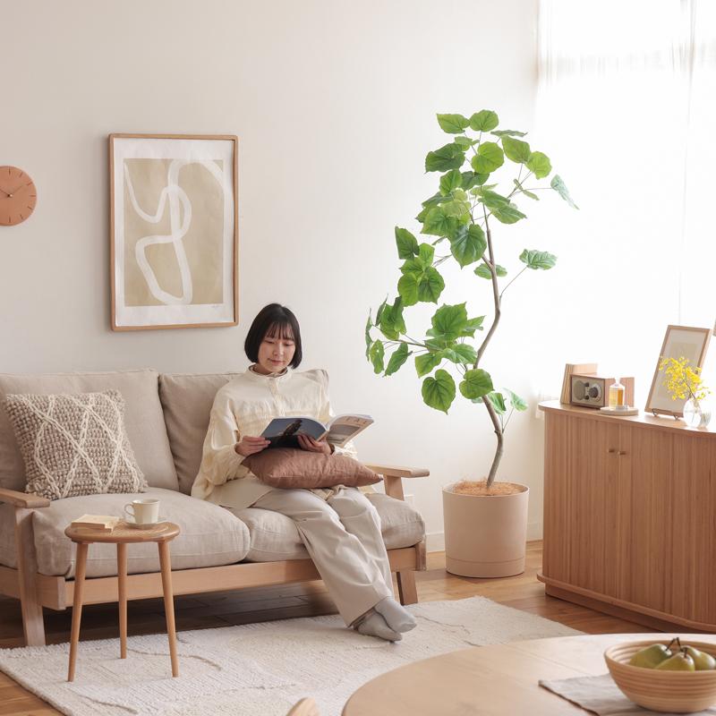 ウンベラータ　観葉植物　フェイクグリーン　インテリア フェイクグリーン ウンベラータ 高さ60cm 人工観葉植物 人工植物