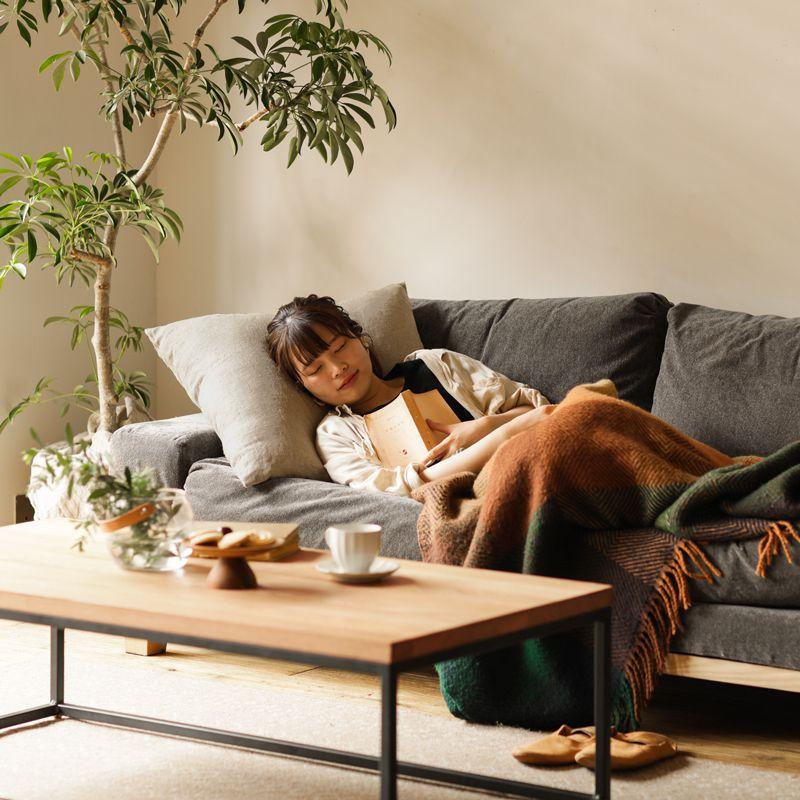 クッションカバー 60×60 Heavy canvas linen シリコンフィルクッション