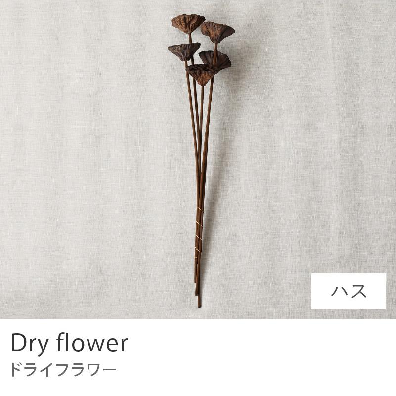 ドライフラワー ハス スワッグ 飾り 雑貨 インテリア雑貨 プレゼント
