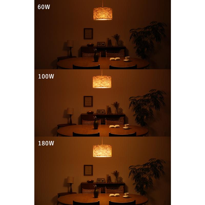 天井照明 ペンダントライト Oilparch 3灯ソケット／スマートLED電球