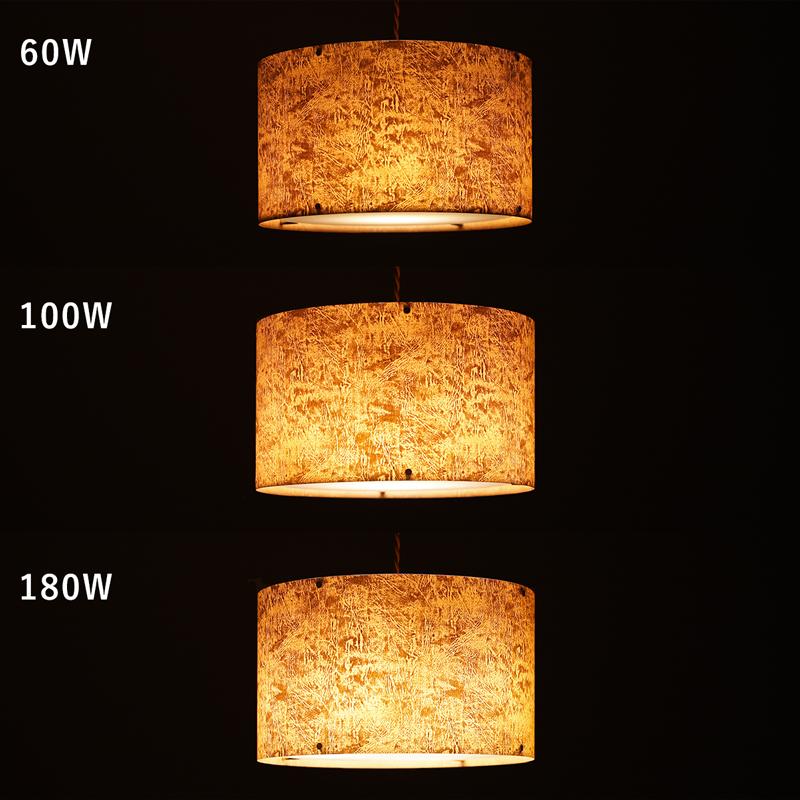 天井照明 ペンダントライト Oilparch 1灯ソケット／LED電球（100W
