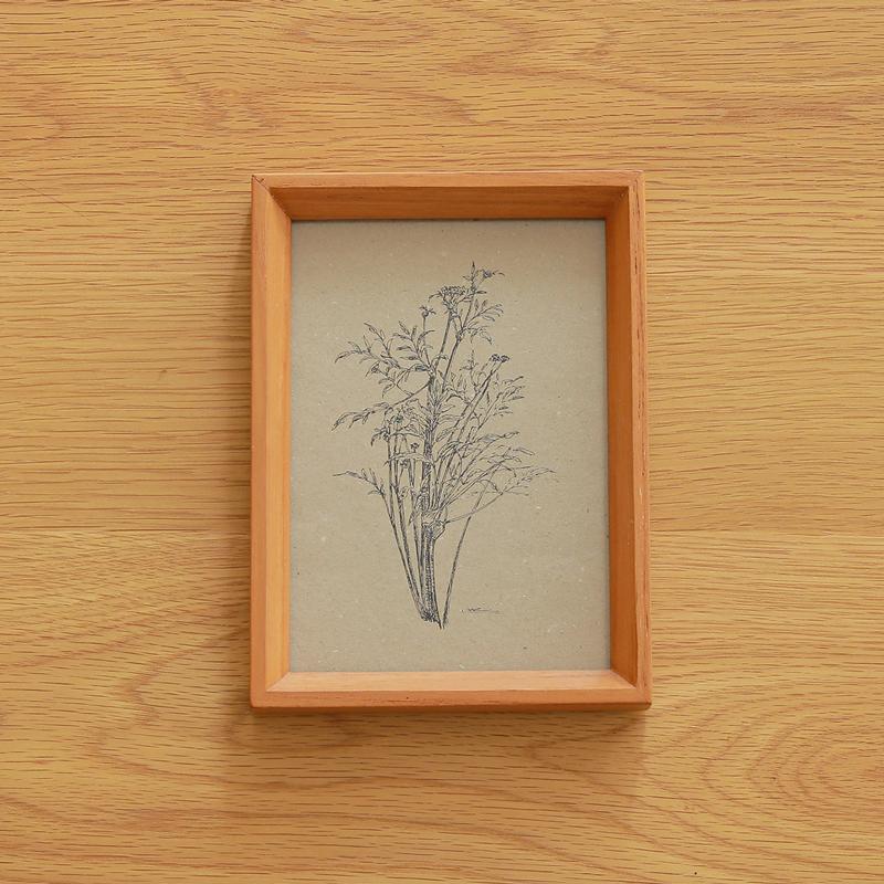 【まとめ売り】木製フレーム付き 植物画 4枚セット【インテリア/アート】 多肉植物の寄せ植えアートフレーム｜寄せ植え教室