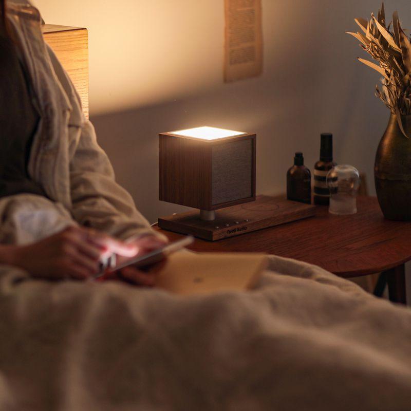 オーディオ Tivoli Audio REVIVE スピーカー Bluetooth LED ライト
