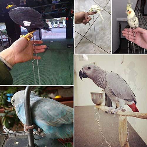 POTATO 鳥用ハーネス インコ専用鳥の足輪 リード ハーネストカゲ小動物用ア｜recolte-shop｜03