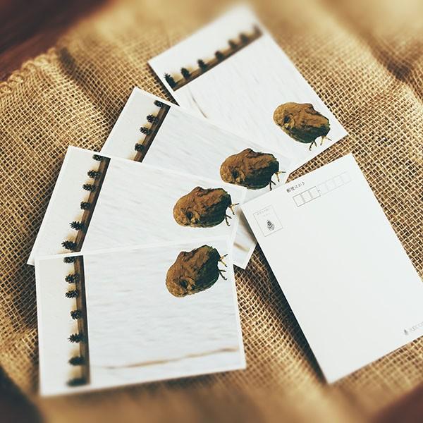 ポストカード Thinking Owl 考えるフクロウ 5枚セット おしゃれ 絵葉書 イラストポストカード セット 送料無料 ワインとギフトのリコルティ 通販 Yahoo ショッピング