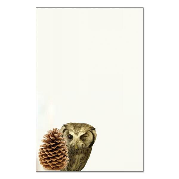 ポストカード Misplaced Owl おちゃめなフクロウ 5枚セット おしゃれ 絵葉書 イラストポストカード セット