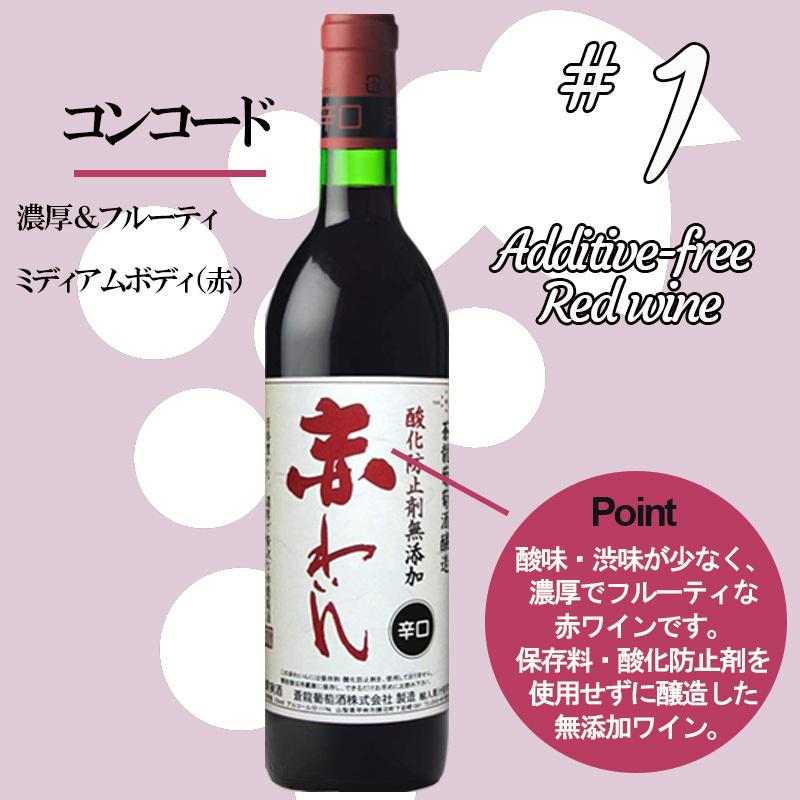蒼龍葡萄酒 酸化防止剤無添加赤わいん 辛口 山梨 日本 6本セット