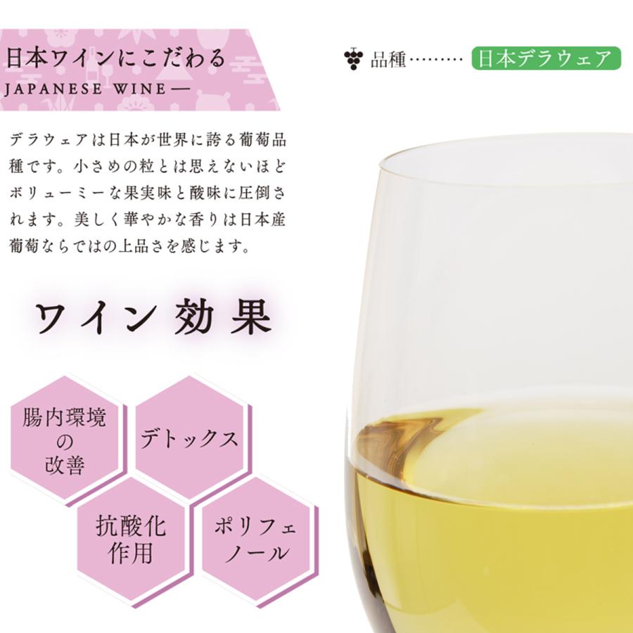 はちみつ日本 白くまワイン 500ml 白ワイン 日本ワイン ポリフェノール
