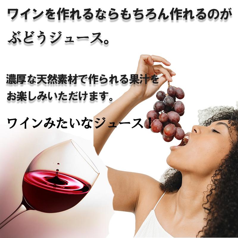 蒼龍葡萄酒 ワイン ジュース・ワイン2本セット コンコード 日本 山梨