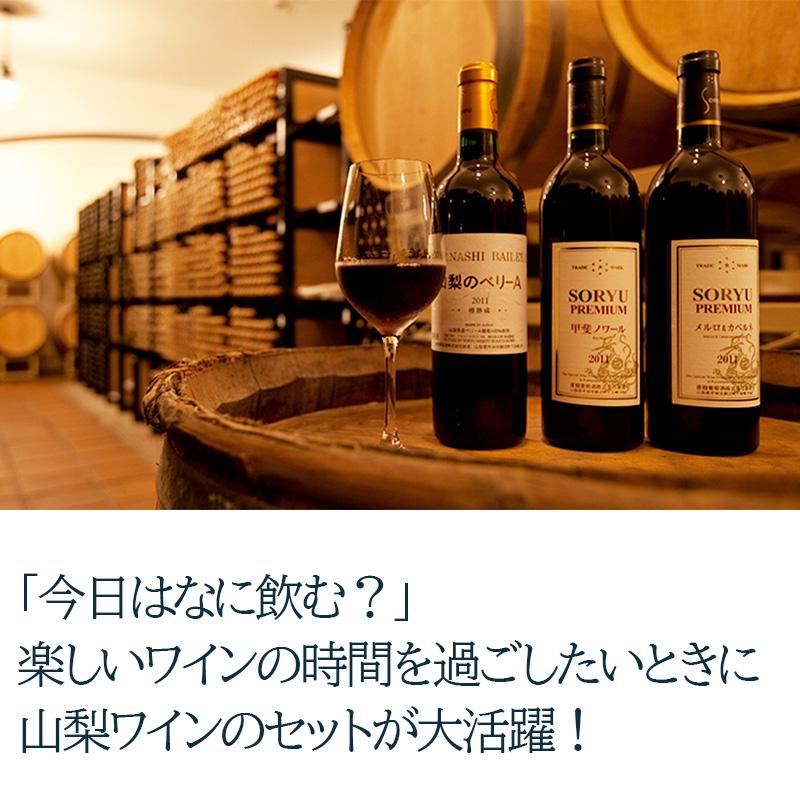 蒼龍葡萄酒 山梨ワインよりどり6本セット NV 日本 山梨 750ml 赤ワイン