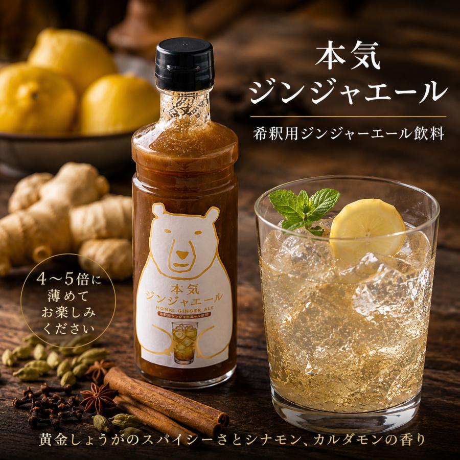 本気ジンジャエール 300ml 希釈用 シロップ 黄金しょうが シナモン