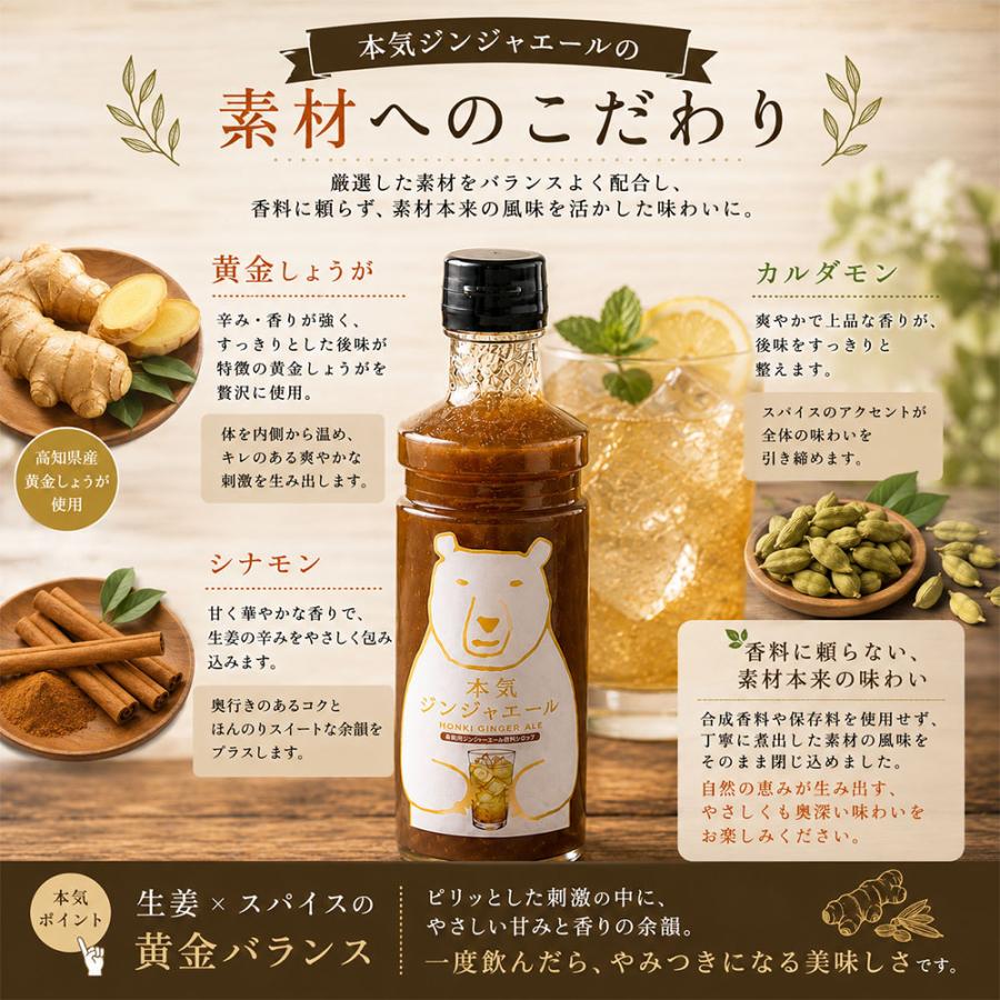 本気ジンジャエール 300ml 希釈用 シロップ 黄金しょうが シナモン