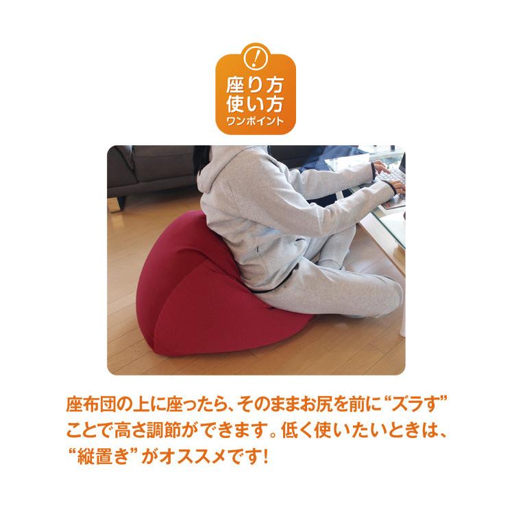 MOGU パウダービーズ　三角フィット座布団　ビーズクッション MOGU（モグ） 三角フィット座ブトン 本体+カバーセット パウダービーズ