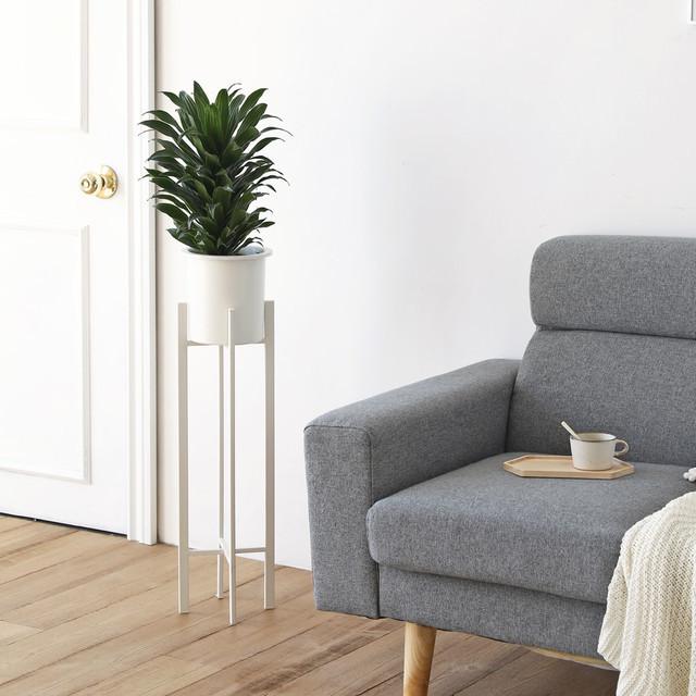 ブラック ルームアンドホーム かわいい 韓国 韓国インテリア アンティーク 代引不可 リコメン堂 通販 Paypayモール 鉢カバー 植木鉢 スタンド 観葉植物 クロス 7 ホワイト シンプル おしゃれ カラー