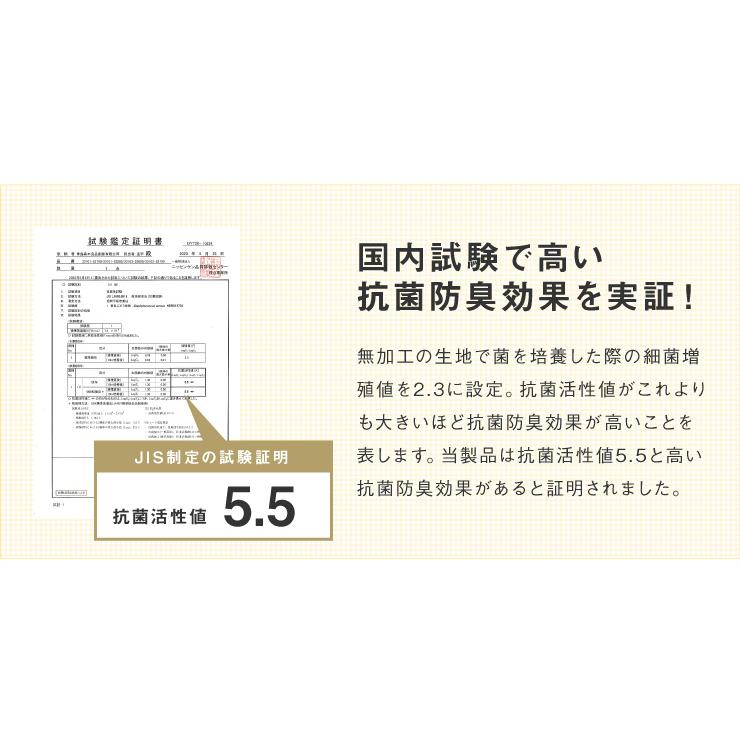 昭和西川 布団6点セット シングル テイジン製マイティトップ使用 洗える 抗菌防臭 防ダニ 固綿入り3層敷布団 頸椎安定型枕 カバー付 収納ケース付｜recommendo｜16