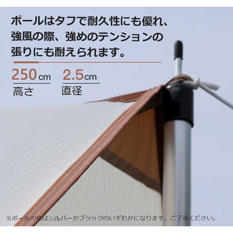 タープテント 5m ペグ ポール 収納袋付き タープ テント ファミリー