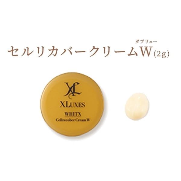 エックスリュークス XLUXES スキンケアお試しセット : リコメン堂