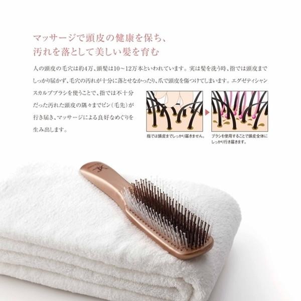 エックスリュークス XLUXES エグゼティシャン スカルプブラシ