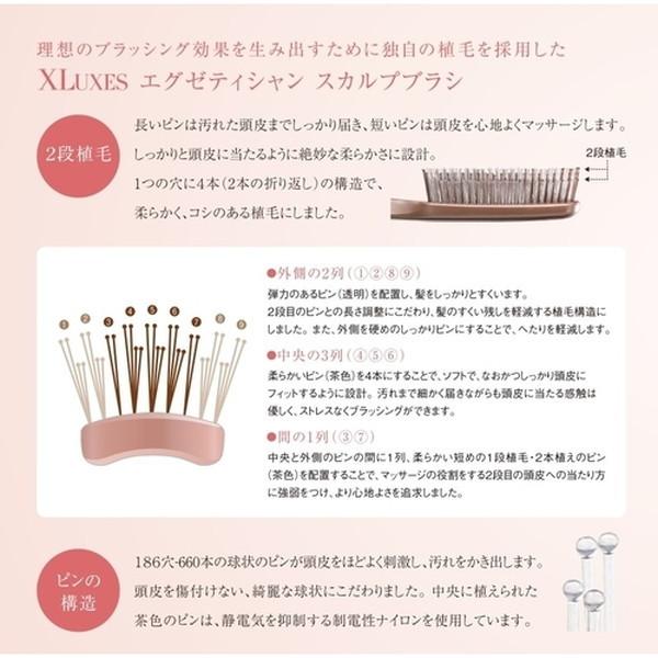 エックスリュークス XLUXES エグゼティシャン スカルプブラシ