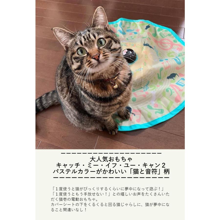 海外並行輸入正規品 猫壱 キャッチ ミー イフ ユー キャン2 猫と音符