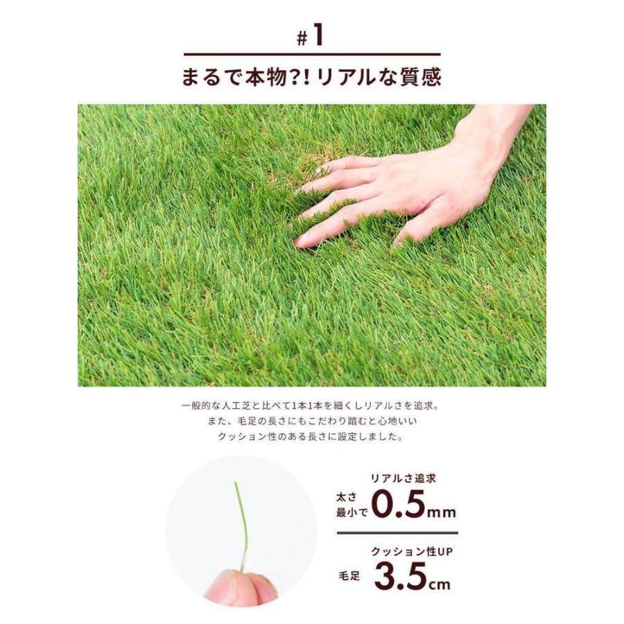 ロール式 リアル人工芝 2 10m Reach1項目に合格 固定ピン付き 人工芝生 芝生 ロールタイプ 芝生マット 庭 テラス ベランダ 庭 ガーデニング Diy 代引不可 芝 芝生 カラー フレッシュグリーン