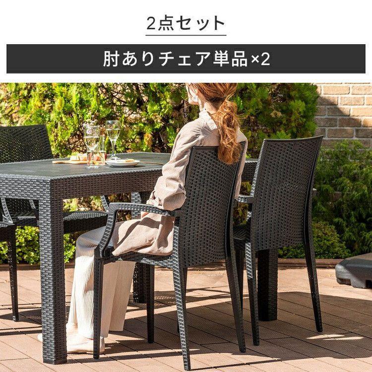 ラタン調 チェア 肘付き ピクシス 2脚セット アウトドア 椅子 屋外