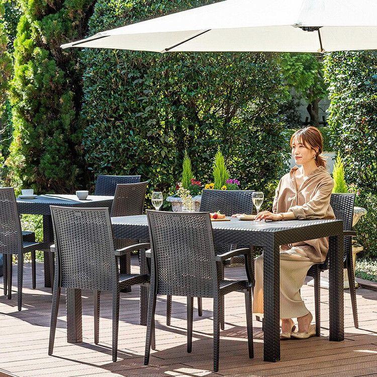 ラタン調 チェア 肘付き ピクシス 2脚セット アウトドア 椅子 屋外