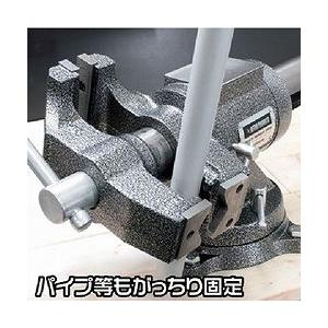 アストロプロダクツ マルチベンチバイス 125mm BV790 2003000007909 手作業工具 クランプ バイス バイス 代引不可_4