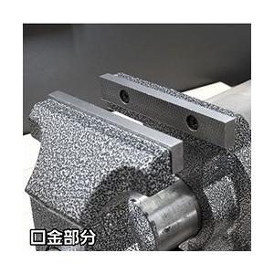 アストロプロダクツ マルチベンチバイス 125mm BV790 2003000007909 手作業工具 クランプ バイス バイス 代引不可_6