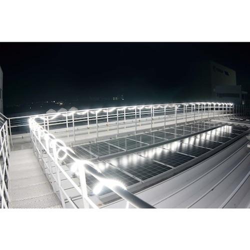 ハタヤ LEDテープライト両面発光タイプ 20m 単体 テープライトノミ LTP