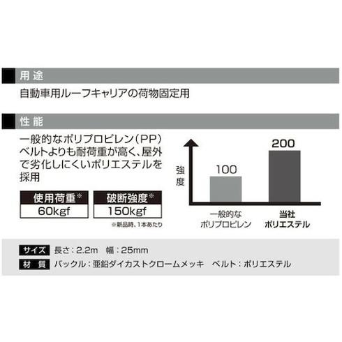 カーメイト ハイグレードベルト220 カーメイト IN821 工事 照明用品 はしご 脚立 はしご 代引不可｜recommendo｜04