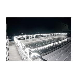ハタヤ LEDテープライト両面発光タイプ 2.5m単体 ハタヤリミテッド