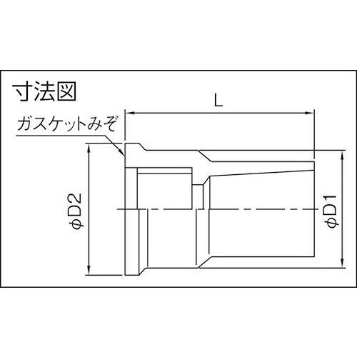 クボタケミックス TS継手 水栓ソケットTS-WS20 TSWS20 工事・照明用品 管工機材 塩ビ管継手 代引不可｜recommendo｜02