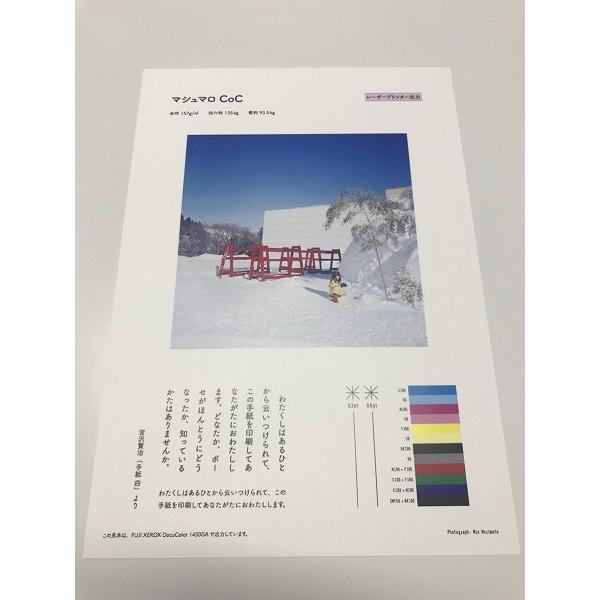 マシュマロＣｏＣ B４ Y 261.6ｇ（225kg 100枚パック 1枚あたり62.6円) 代引不可_3