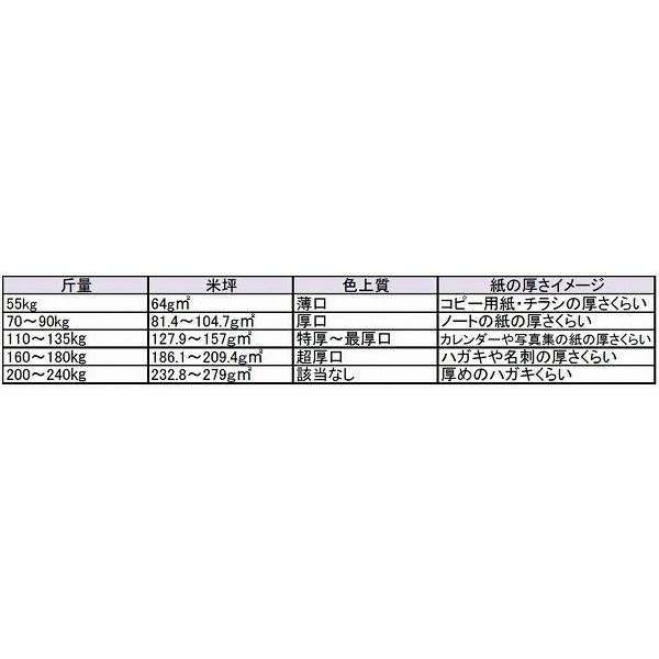 アヴィオンホワイト 100枚パック A３ Ｙ 209.3ｇ180kg 100枚 代引不可｜recommendo｜05