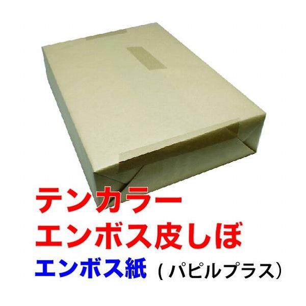 テンカラーエンボス皮しぼ 浅黄 203.7ｇｍ2175kg 100枚パック A3 Ｙ 100枚 代引不可｜recommendo｜02