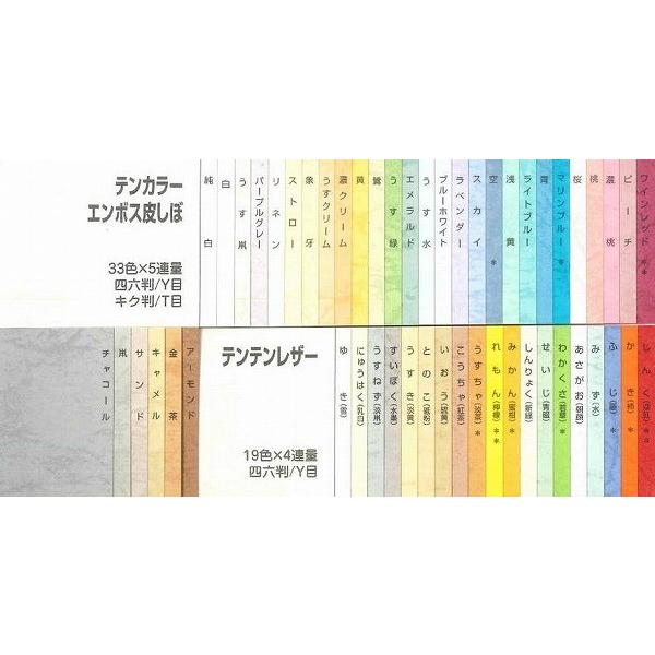 テンカラーエンボス皮しぼ 象牙 151.3ｇｍ2130kg A4 T 1000枚 代引不可｜recommendo｜03