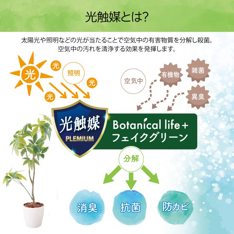 フェイクグリーン パキラ 観葉植物 フェイク 人工観葉植物 大型 フェイクグリーン パキラ 観葉植物 フェイク 人工観葉植物 大型