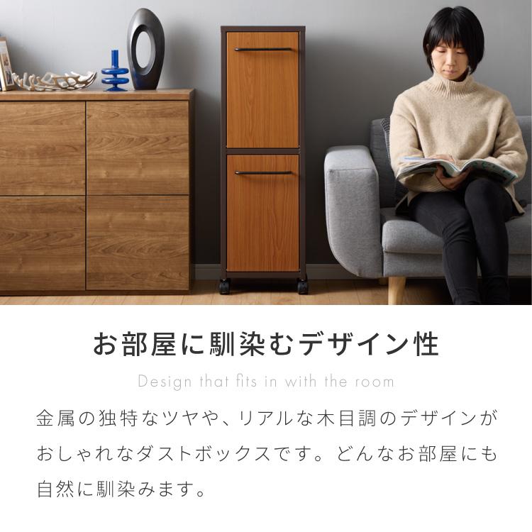セトクラフト ゴミ箱 分別 縦型 2段 ガルバリウム鋼板&ステンレス
