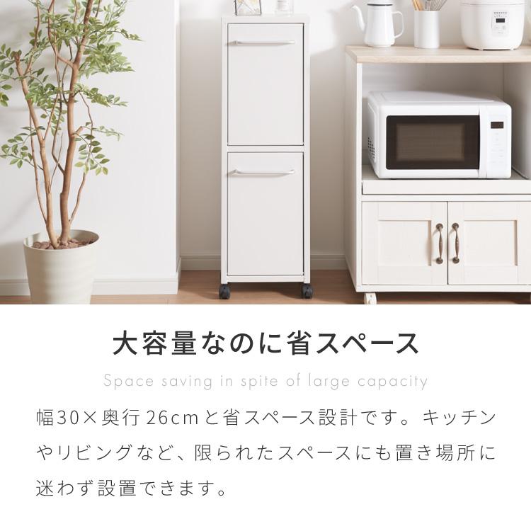 セトクラフト ゴミ箱 分別 縦型 2段 ガルバリウム鋼板&ステンレス