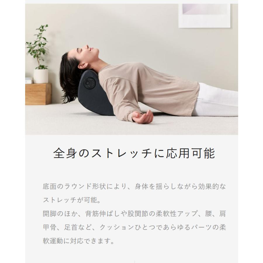 AiMY フレックスウェーブ プロ ストレッチ ケア ケガ防止 筋膜リリース