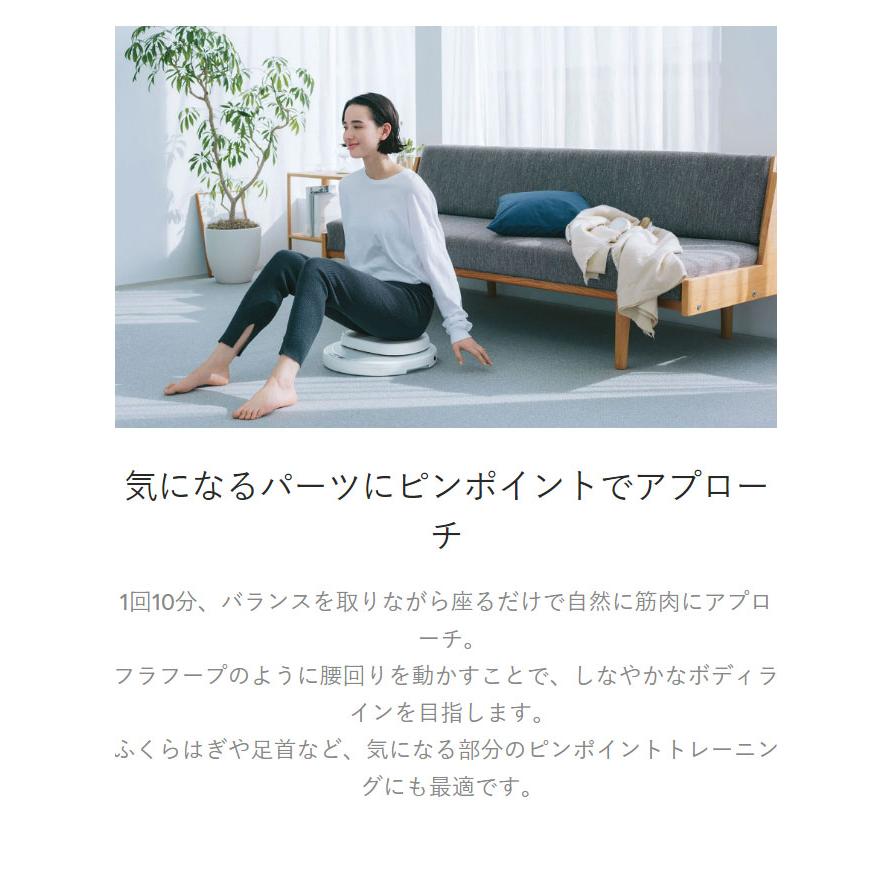 AiMY エイミー 座るだけの簡単エクササイズマシーン フープツイスター