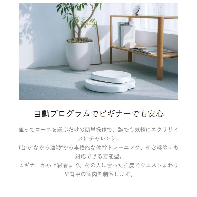 AiMY エイミー 座るだけの簡単エクササイズマシーン フープツイスター
